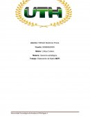 Trabajo: Elaboración de Matriz MEFI.