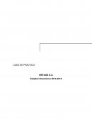 CASO DE PRÁCTICO: VINTAGE S.A.