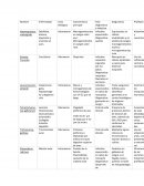 Cuadro comparativo de protozoarios en anfibios y reptiles