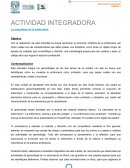 ACTIVIDAD INTEGRADORA La naturaleza de la enfermería