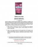 SEMILLA DE CHIA GRUPO ANÁHUAC