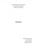 Plantel No. 9 “Pedro de Alba” SUFRAGISTAS