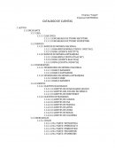 Ejemplo CATALOGO DE CUENTAS CONTABILIDAD