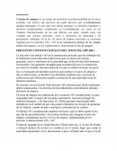 PRECEPTOS CONSTITUCIONALES DEL JUICIO DE AMPARO