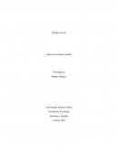 La Expansión checa de construcciones Sólidas, S. A.