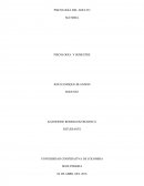 PSICOLOGÍA DEL ADULTO