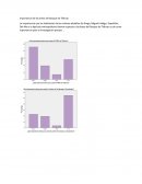 La importancia de las areas del bosque de Tlahuac