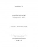 INCLUSION EDUCATIVA CURSO DE PROBLEMÁTICA REGIONAL