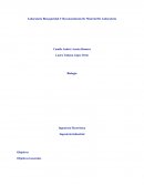 Biología Ingeniería Electrónica Ingeniería Industrial