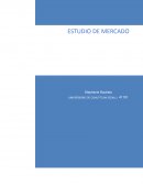 Estudio de Mercado Objetivos del Estudio General