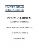 El derecho laboral o mejor conocido el derecho de trabajo