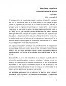 Comercio Internacional de Servicios Actividad 1