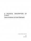 A PHYSICAL DESCRIPTION OF FLIGHT