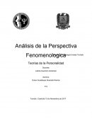 Análisis de la Perspectiva Fenomenologica