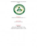 Propuesta de negocio Esthetic Beauty Center es una clínica de Cirugía plástica, estética y reconstructiva