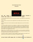 Mercadeo de servicio CASO NETFLIX