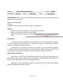 Organigramas caso empresarial