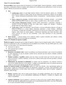 Negocios Web Video #1: La presencia digital