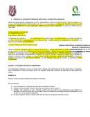 Caso planeación de producción