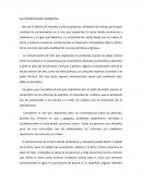 La contaminacion ambiental . La contaminacion del aire
