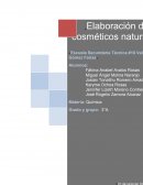 Elaboración de cosmeticos naturales