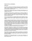 Aspectos teóricos y metodológicos