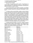 Producción y aplicación de Lipasas