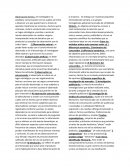 Ejemplo de un Resumen de mercadotecnia