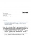 PROBLEMA DE SOFTWARE