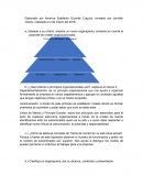 ¿Qué criterios o principios organizacionales usó?