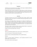 Actividad Fases y etapas del proceso administrativo