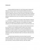 EDUCACIÓN AMBIENTAL - ENSAYO