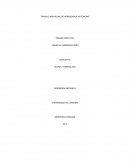 Aprendizaje autonomo Ejercicio 1-Individual