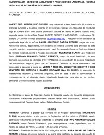 SE INTERPONE DEMANDA ORDINARIA LABORAL POR DESPIDO DIRECTO E   DERECHOS ADQUIRIDOS Y PRESTACIONES  COSTAS  SE  ACOMPAÑAN . - Tareas - glgc23