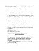 MUSCULOS ABDOMINALES Y TORACICOS VETERINARIA