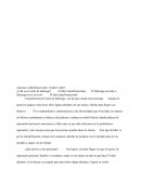 Aspectos a Identificar	Lider