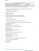 BULLIYING Formatos diversos