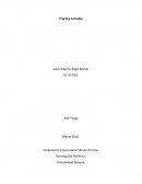 Contabilidad General. Práctica contable