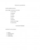 Elementos de un procedimiento: Diseñador de web site