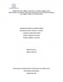 PROPUESTA DE FABRICACION DE UNA CREMA HIDRATANTE, MENTOLADA CON FPS 30 A BASE DE ACEITE DE COCO (COCOS NUCIFERA) CON MIRAS A SER UNA INNOVACIÓN