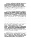 Rol del analista de sistemas en una empresa u organización