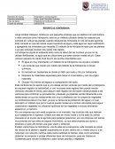 Reporte de Conferencia