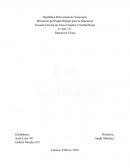 Aeróbicos Educación física