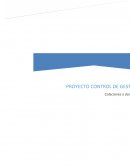 Control de Gestión es el proceso administrativo que sirve para evaluar el grado de cumplimiento de los objetivos
