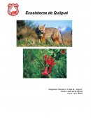 Biología. Ecosistema de Quilpué