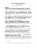 Estrategia global de mejora escolar DIAGNOSTICO