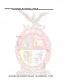 LECTURA 3. DIMENSIONES DE LAS INCAPACIDADES PARA EL APRENDIZAJE