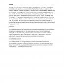 Antes de entrar en materia debemos de saber de dónde proviene el hierro