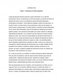 CORRECCIÓN Texto 1: Tolerancia a la libre expresión