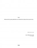 Influencia de los spots publicitarios en la decisión de compra de las amas de casa